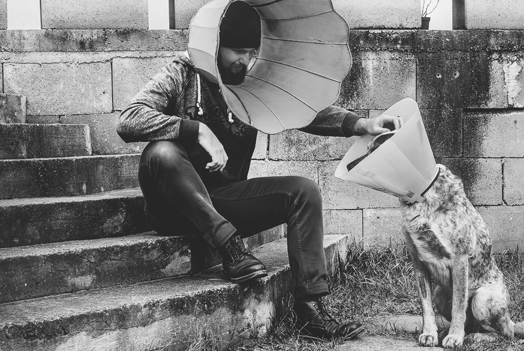 This Dog Signing Stardust’s ‘Lucille’